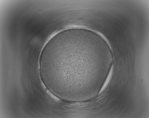 X0000067481287200604101219