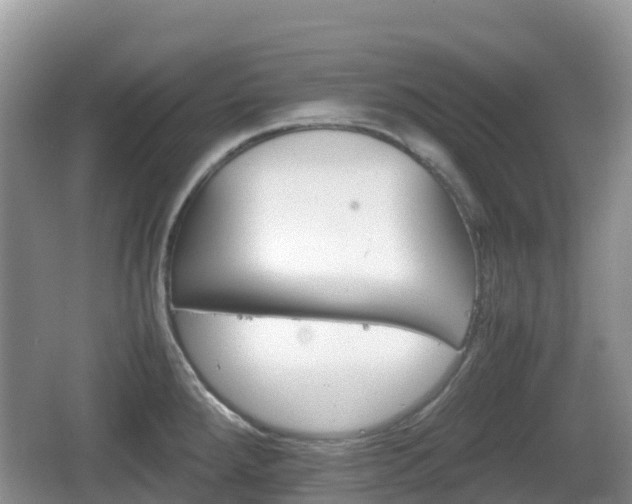 X0000067481288200604101219