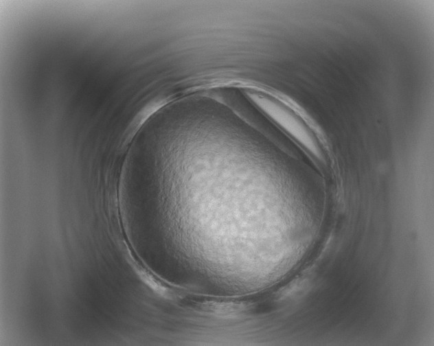 X0000067481289200604101219