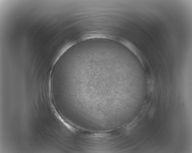 X0000067481290200604101219