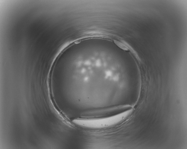 X0000067481291200604101219