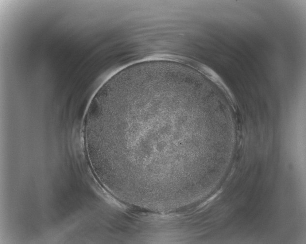 X0000067481292200604101219