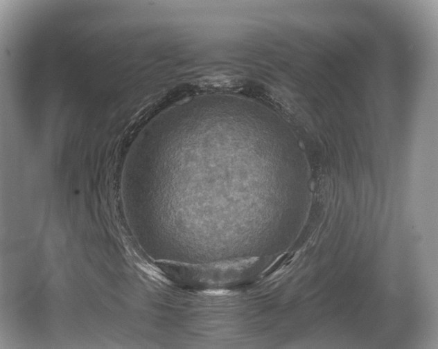 X0000067481297200604101219