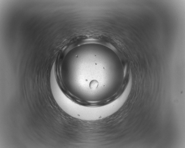 X0000067481298200604101219