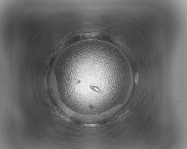 X0000067481299200604101219