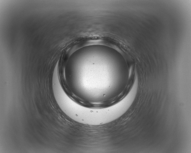 X0000067481300200604101219