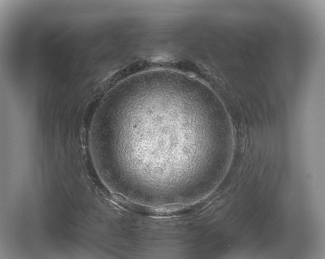 X0000067481301200604101219