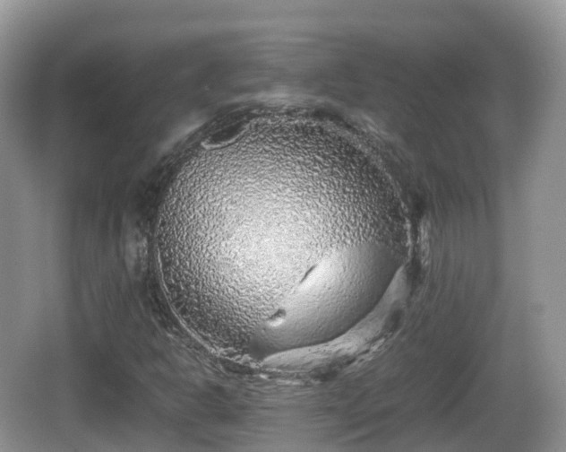 X0000067481302200604101219