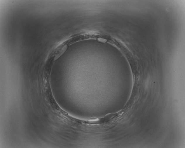 X0000067481303200604101219