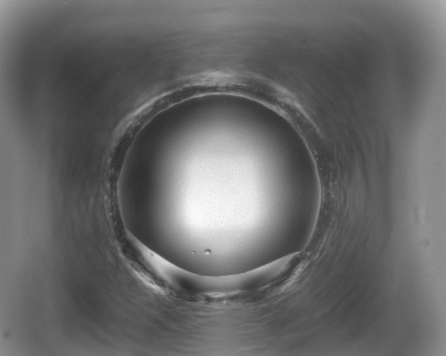 X0000067481304200604101219