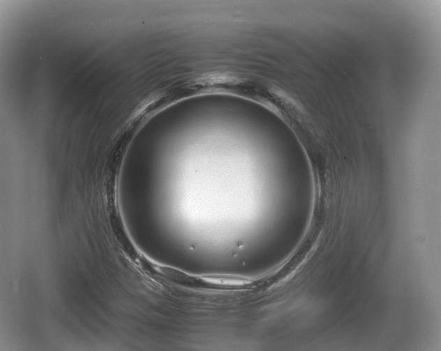 X0000067481305200604101219