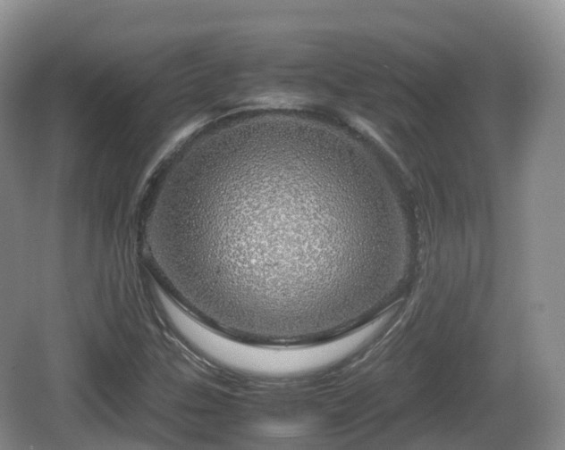 X0000067481307200604101219