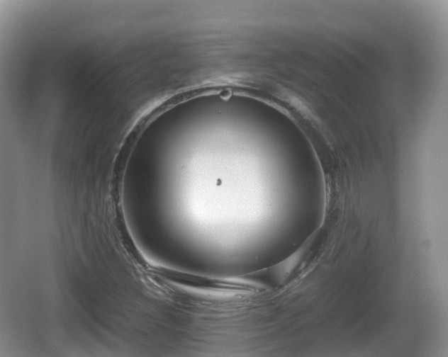 X0000067481308200604101219