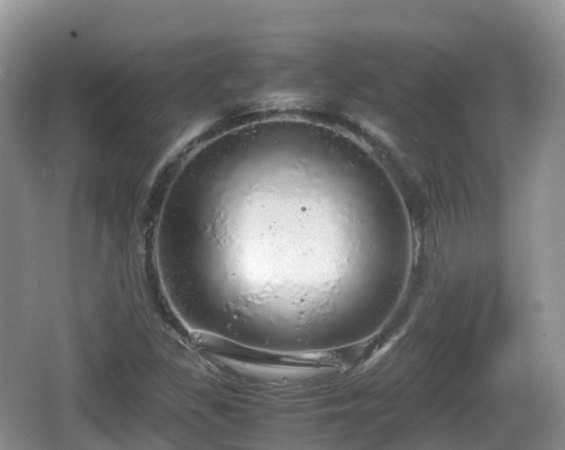 X0000067481309200604101219