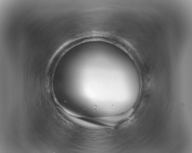 X0000067481310200604101219