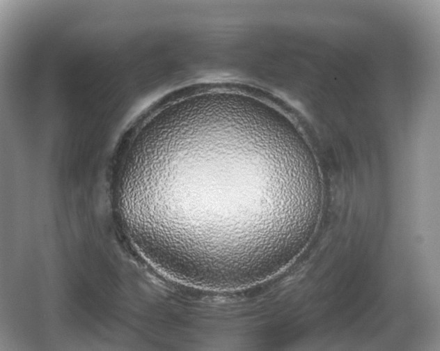 X0000067481311200604101219