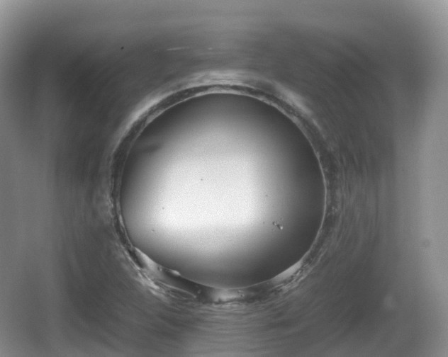 X0000067481312200604101219