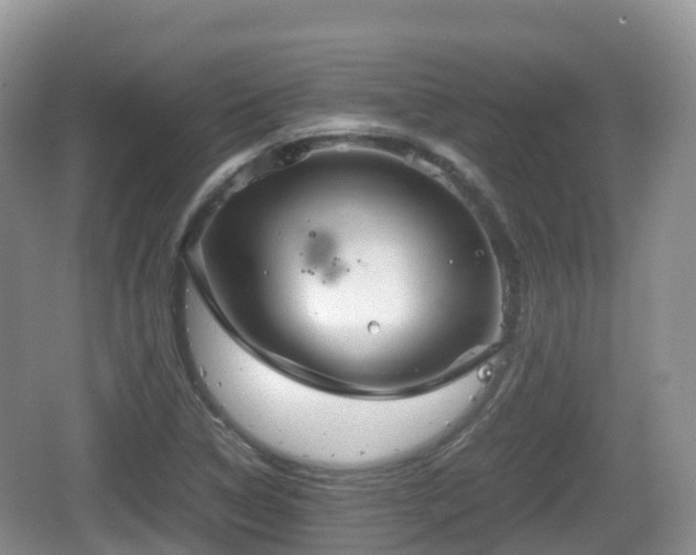 X0000067481314200604101219