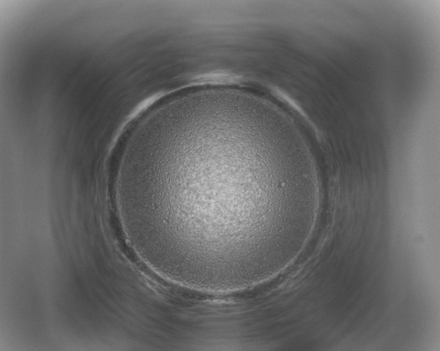 X0000067481315200604101219