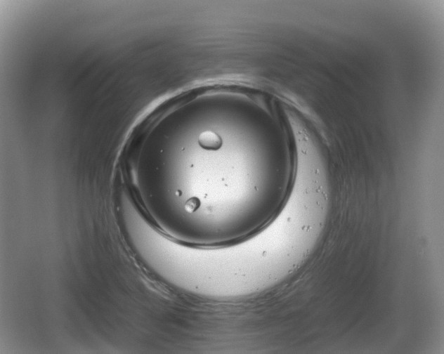 X0000067481316200604101219