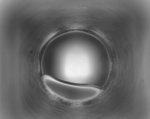 X0000067481317200604101219