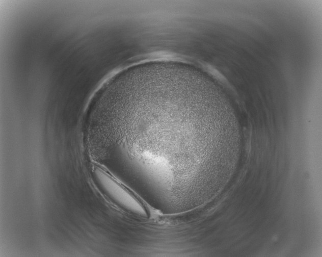 X0000067481318200604101219