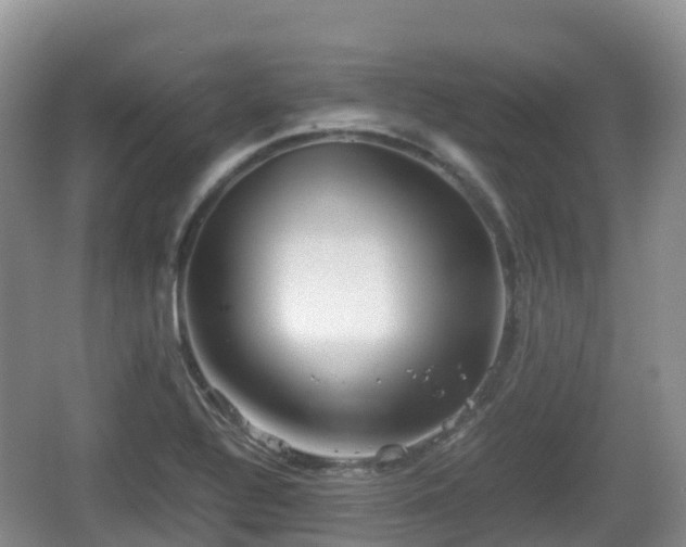 X0000067481320200604101219