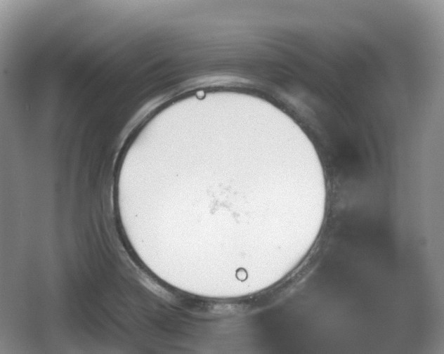 X0000067481322200604101219