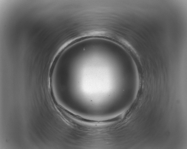 X0000067481324200604101219