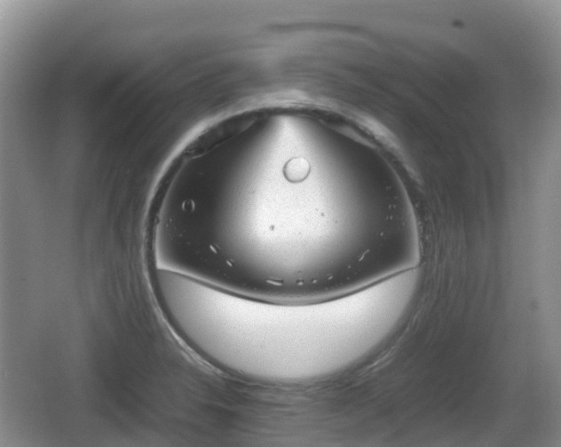 X0000067481326200604101219