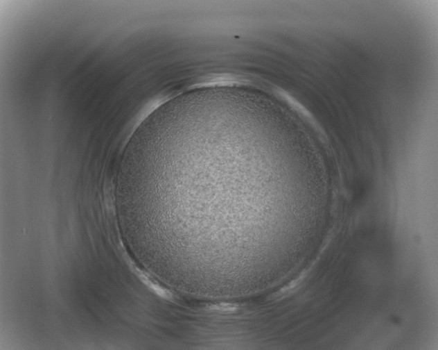 X0000067481329200604101219