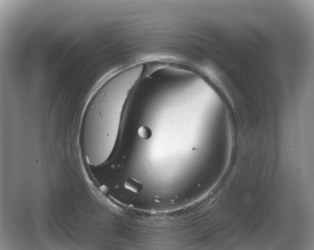 X0000067481330200604101219