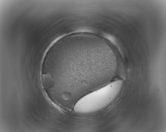 X0000067481331200604101219