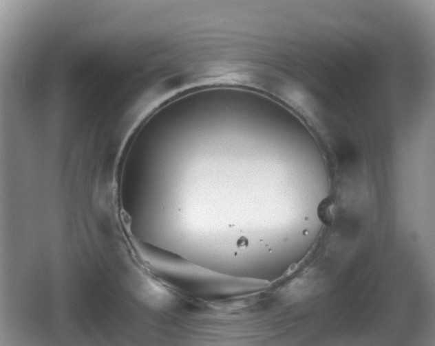 X0000067481332200604101219