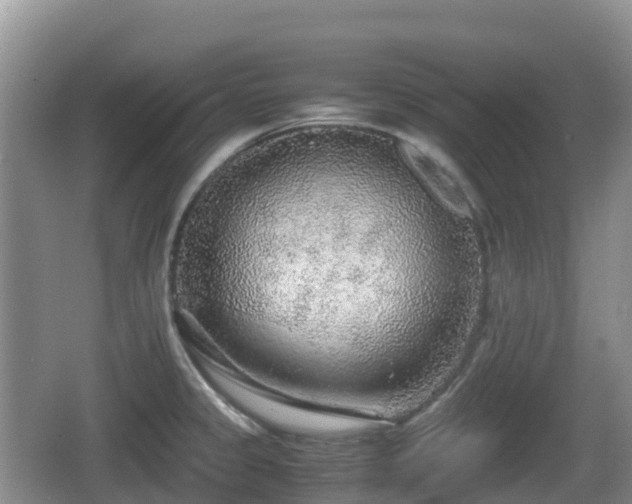 X0000067481333200604101219