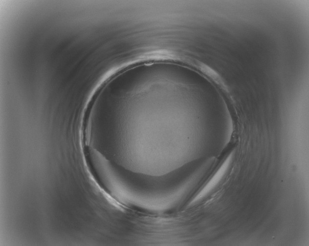 X0000067481334200604101219