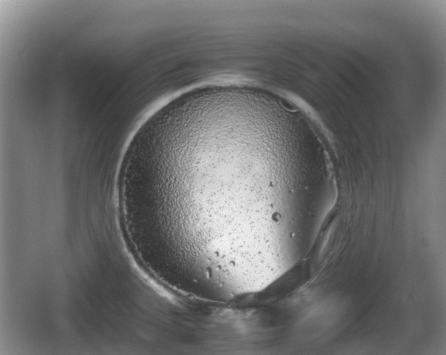 X0000067481335200604101219