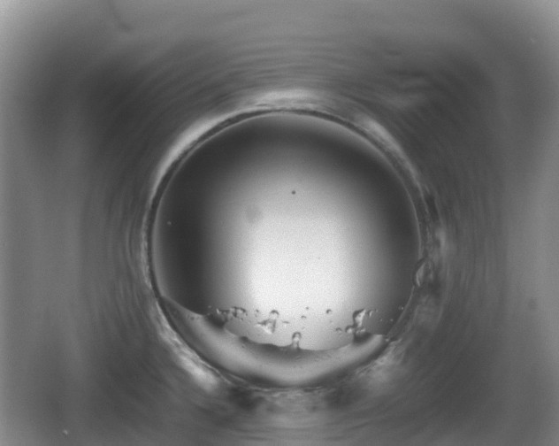 X0000067481336200604101219