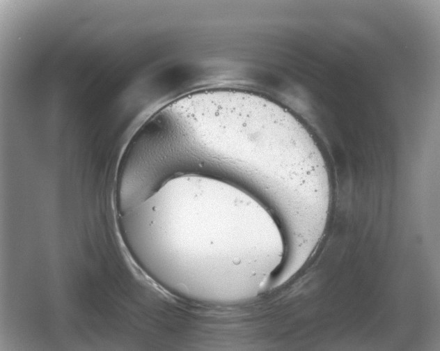 X0000067481338200604101219