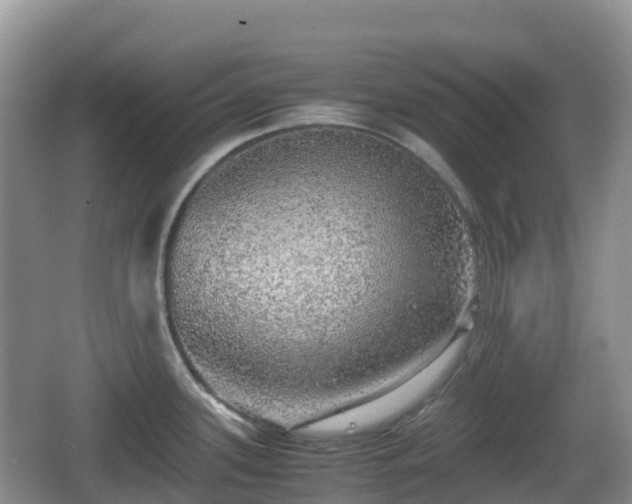 X0000067481339200604101219