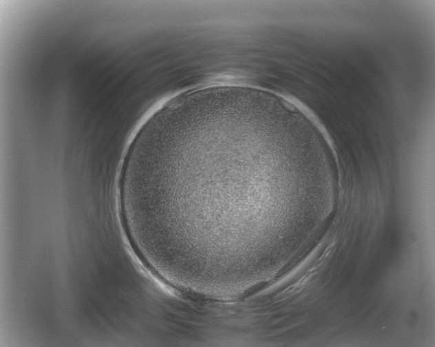 X0000067481341200604101219