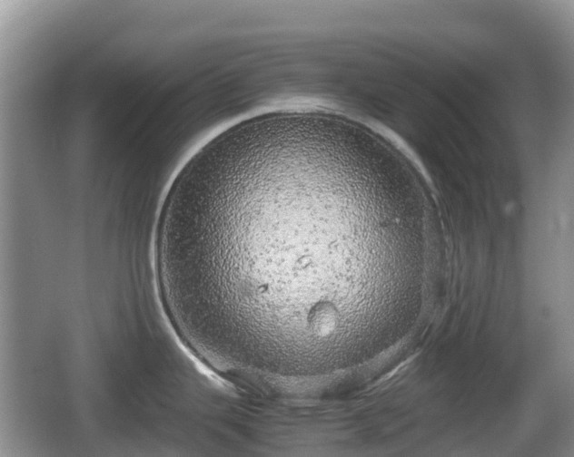 X0000067481343200604101219