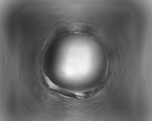 X0000067481345200604101219