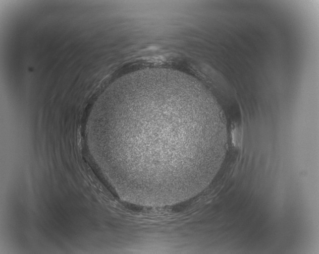 X0000067481347200604101218