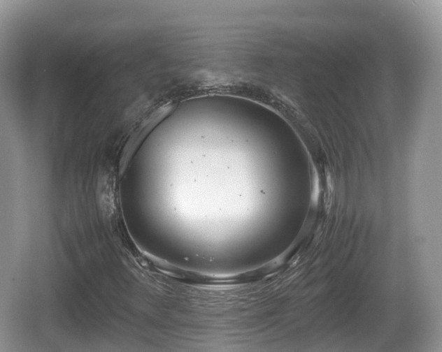 X0000067481348200604101218