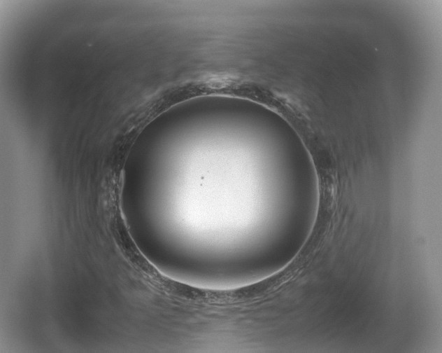 X0000067481349200604101218