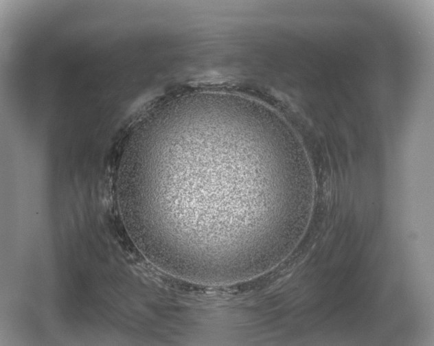 X0000067481350200604101218