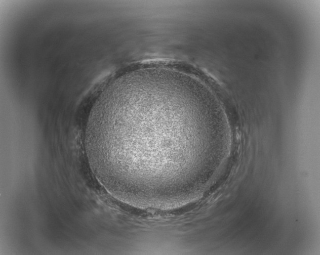 X0000067481351200604101218