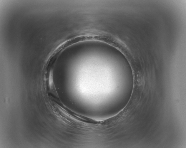 X0000067481352200604101218