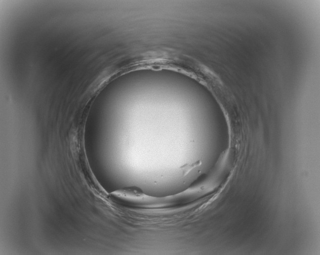 X0000067481353200604101218